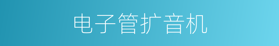 电子管扩音机的同义词
