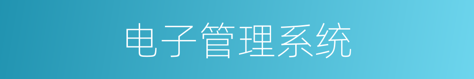 电子管理系统的同义词