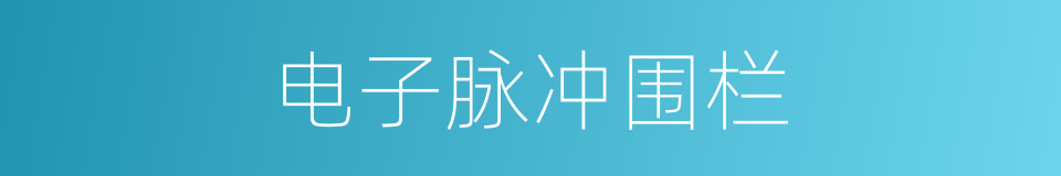 电子脉冲围栏的同义词