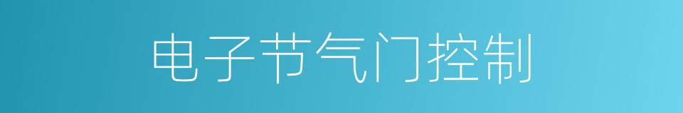 电子节气门控制的同义词