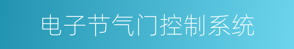 电子节气门控制系统的同义词