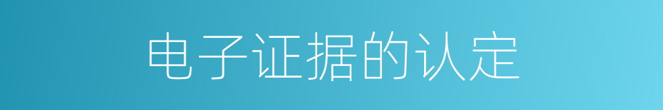 电子证据的认定的同义词