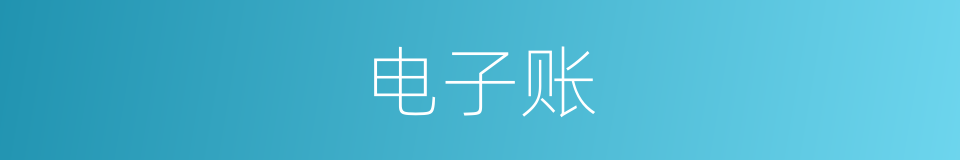 电子账的同义词