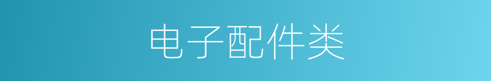 电子配件类的同义词