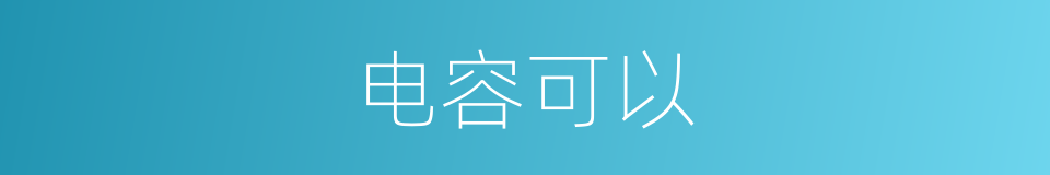 电容可以的意思