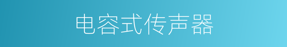 电容式传声器的同义词