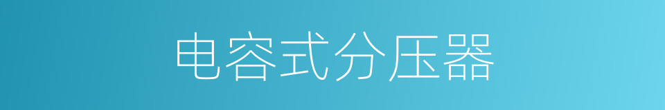 电容式分压器的同义词