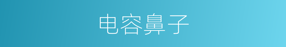 电容鼻子的意思