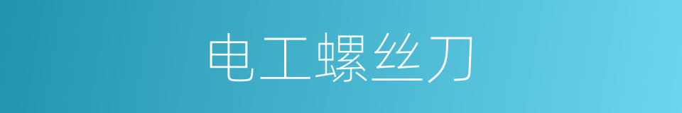 电工螺丝刀的同义词