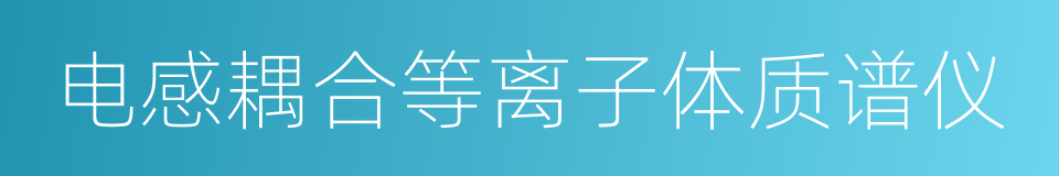 电感耦合等离子体质谱仪的同义词