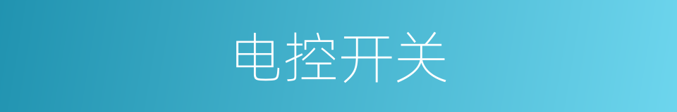 电控开关的同义词