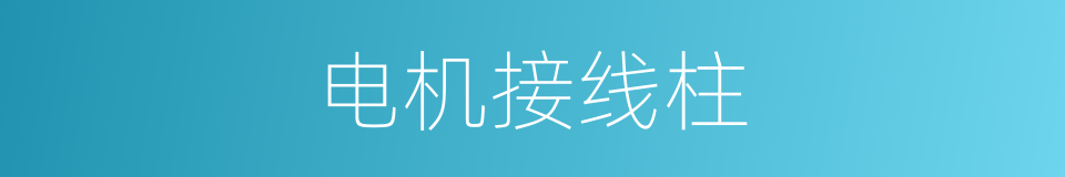 电机接线柱的同义词