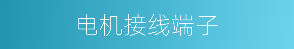 电机接线端子的同义词