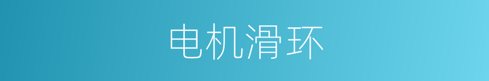 电机滑环的同义词