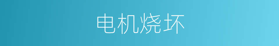 电机烧坏的同义词