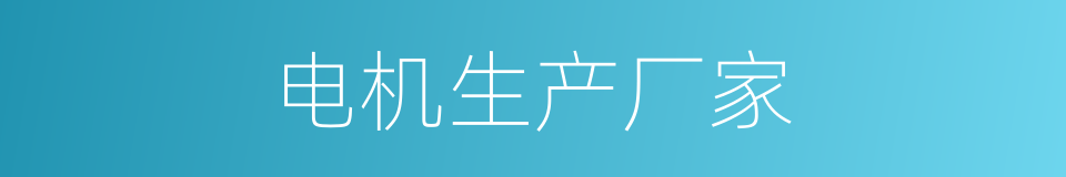 电机生产厂家的同义词
