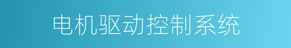 电机驱动控制系统的同义词
