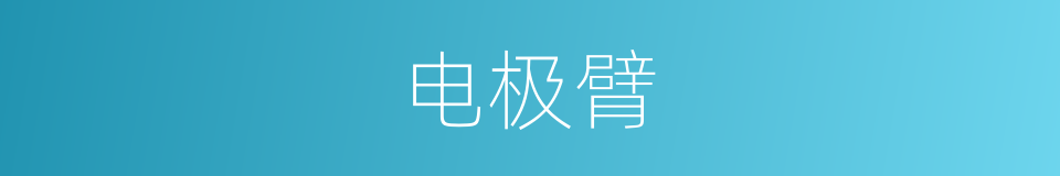 电极臂的同义词