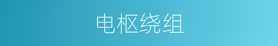 电枢绕组的意思