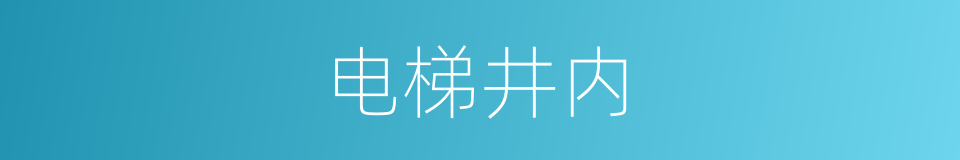 电梯井内的同义词