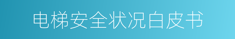 电梯安全状况白皮书的同义词