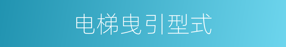 电梯曳引型式的同义词