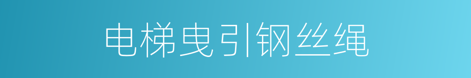 电梯曳引钢丝绳的同义词