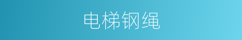 电梯钢绳的同义词