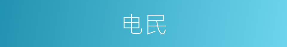 电民的同义词