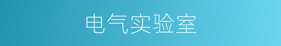 电气实验室的同义词