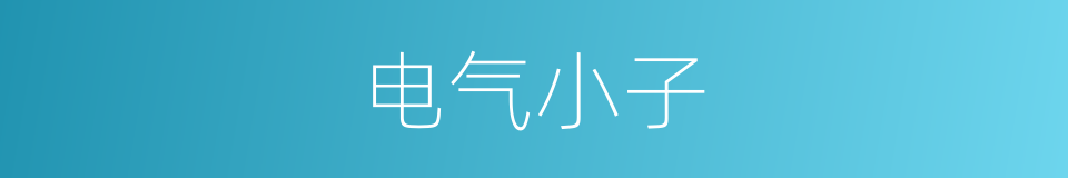 电气小子的同义词