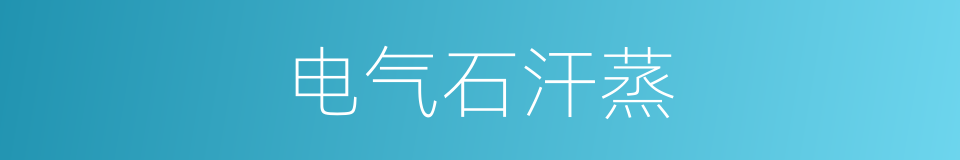 电气石汗蒸的同义词