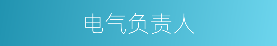 电气负责人的同义词