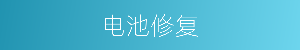 电池修复的同义词
