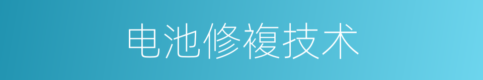 电池修複技术的同义词