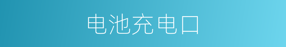 电池充电口的同义词