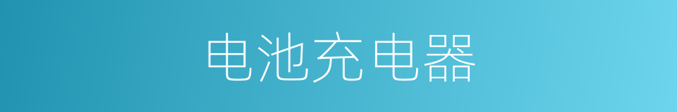 电池充电器的同义词