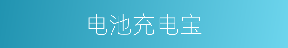 电池充电宝的同义词