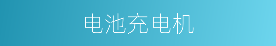 电池充电机的同义词