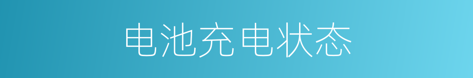 电池充电状态的同义词