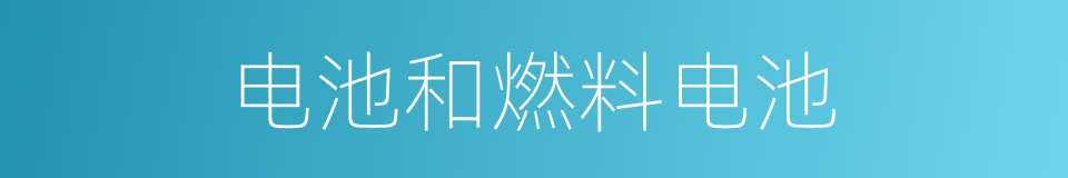 电池和燃料电池的同义词