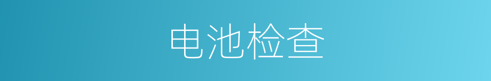 电池检查的同义词