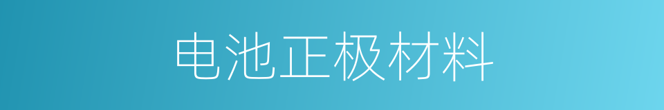 电池正极材料的同义词