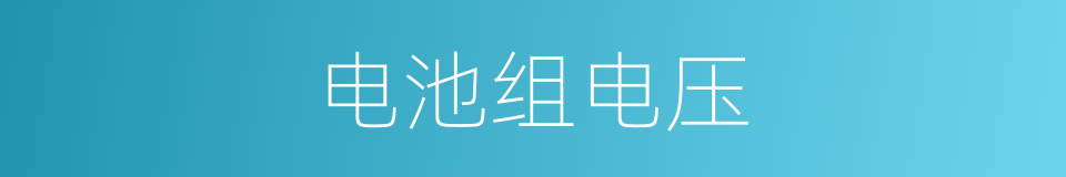 电池组电压的同义词