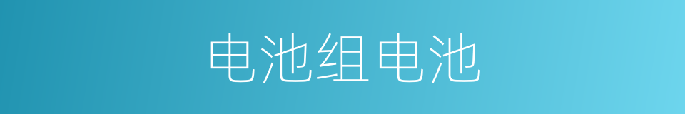电池组电池的同义词