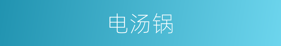 电汤锅的同义词