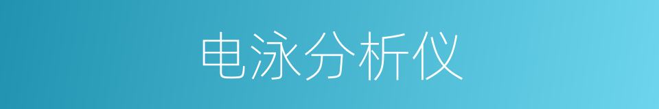 电泳分析仪的同义词