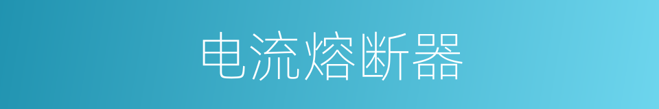 电流熔断器的同义词