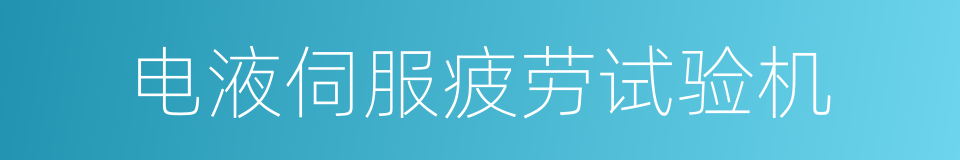 电液伺服疲劳试验机的同义词