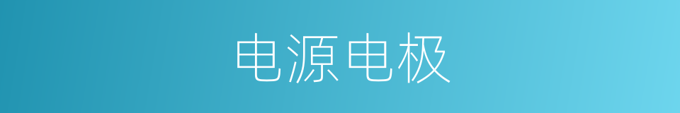 电源电极的同义词